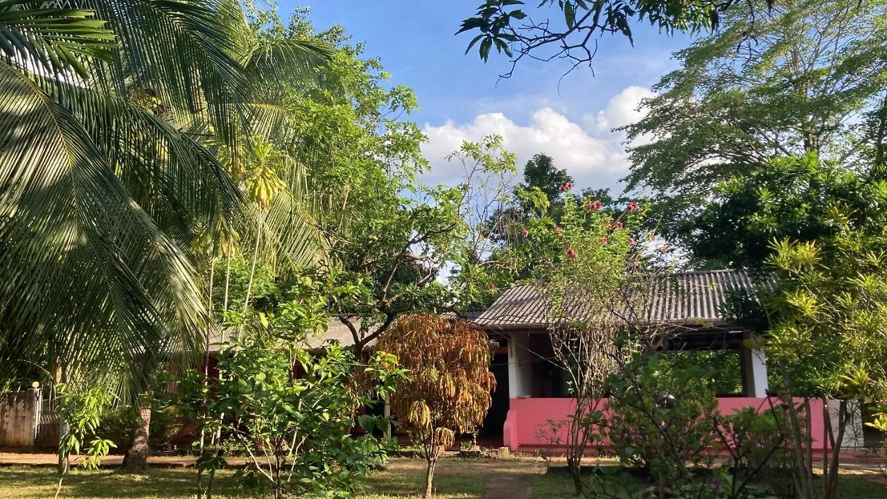 Kandalama Hostel Dambulla 0*,  Sri Lanka