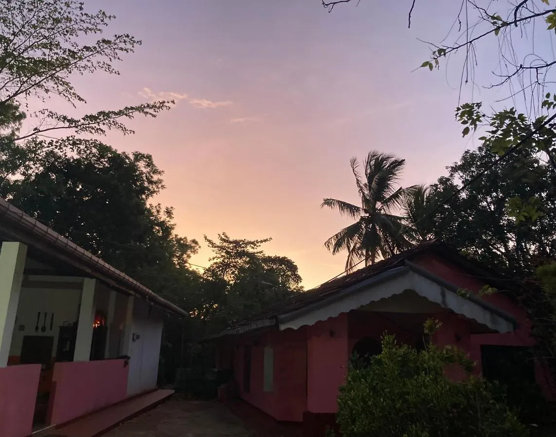 Kandalama Hostel Dambulla Sri Lanka
