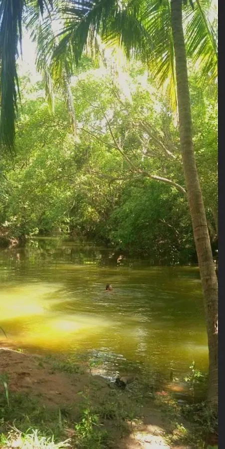 Kandalama Hostel Dambulla Sri Lanka